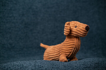 dog of Teddy, brown soft squishy dog on a dark background