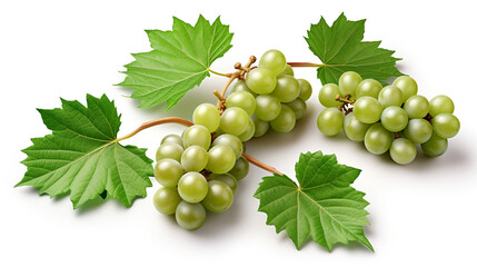 Obraz premium Bunch of grapes with leaves on white copy space created with Generative Ai