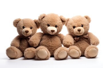 Teddy bears isolated on white background