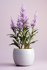 A subtle lavender bloom in a small pot, capturing the essence of minimalistic tranquility.