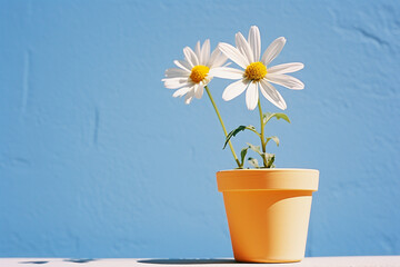 A dainty daisy in a petite pot, bringing delight with its minimalistic charm.