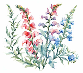 Snapdragon flower with leafs, pastel watercolor drawing