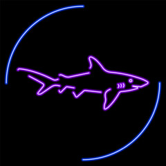 shark neon sign, modern glowing banner design, colorful modern design trends on black background. Vector illustration.