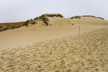 View of Dead Dunes
