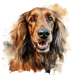 Fototapeta premium watercolor Afghan Hound clipart, Generative Ai