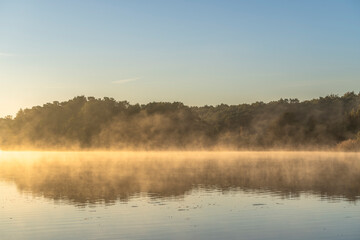 Dawn scenery in fall at a foggy lake near Waren, Muritz, Germany