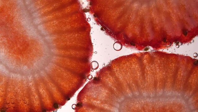 Close-up of strawberry on top of fizzy soda