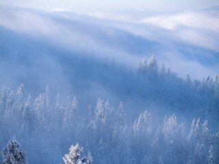 Zima w Gorcach - mgły szron