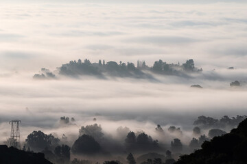 Foggy morning hilltop in the San Fernando Valley area of Los Angeles, California.