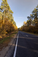trees along the paved road for cars