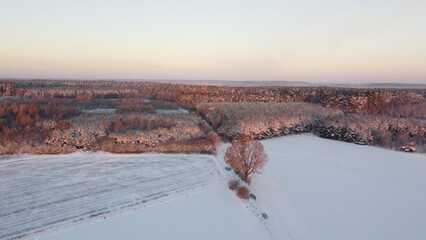 flying towards them3 © enkordino