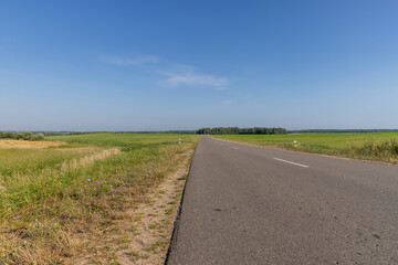Narrow paved road for cars