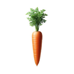 carrot isolated on transparent or white background, png