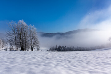 Gorce szlak na Turbacz - zima