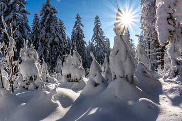 Zima w lesie - zaspy - 690722981