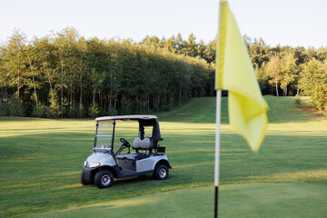 Final Hole Charm: Golf Cart by Finish Flag on Course