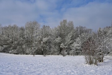 Beautiful snowy landscape. Winter nature - seasonal concept.