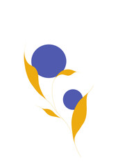 bird of paradise flower