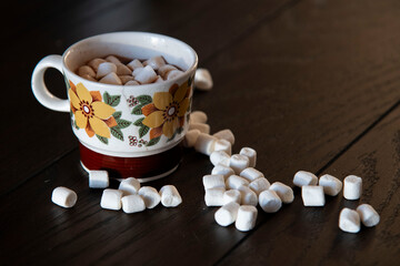 Hot Chocolate with Marshmallows