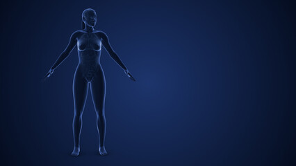 Female Endocrine System or Muscarinic acetylcholine receptor
