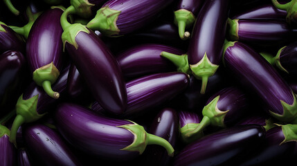 Fresh eggplants group with seamless background. Shot top down view. Healthy and beautiful purple food photography for a magazine and commercial advertising