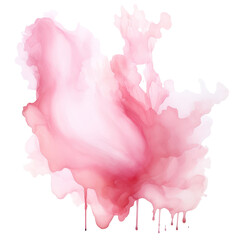 watercolor pink splash isolated on white background PNG File.