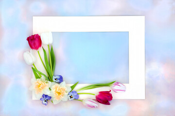 Spring background border with flowers on pastel blue and pink sky cloud. Minimal nature design for springtime with white frame.