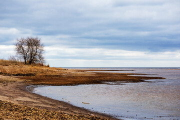 
Seashore in the form of an arc with water one tree next to the sea