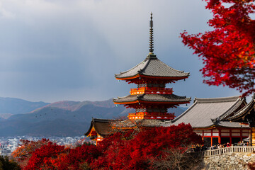 Fototapeta premium Kyoto, Japan