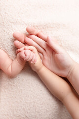 the hand of a newborn in the hand of his older brother and parents. family of four