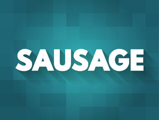 Sausage - type of meat product made from ground meat, pork, beef, or poultry with salt and spices, text concept background