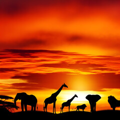 Fototapeta na wymiar Silhouettes of iconic African animals