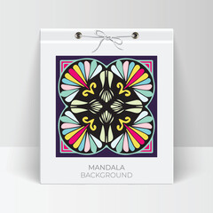 Vector elegant colorful mandala background