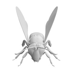 close up on bee isolated