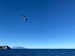 Panoramic View of the Greek island Samothrace from the ship deck on Gokçeada sea with seagulls on sky in Turkey. In this frame, two islands appear side by side.