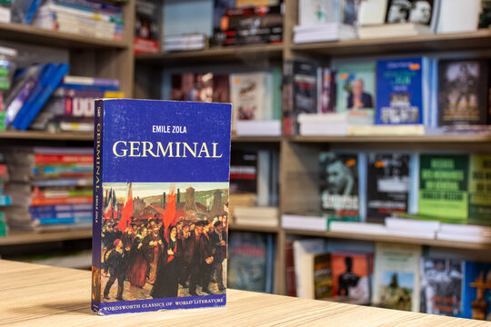 Close up &Eacute;mile Zola's Germinal novel in the bookstore.