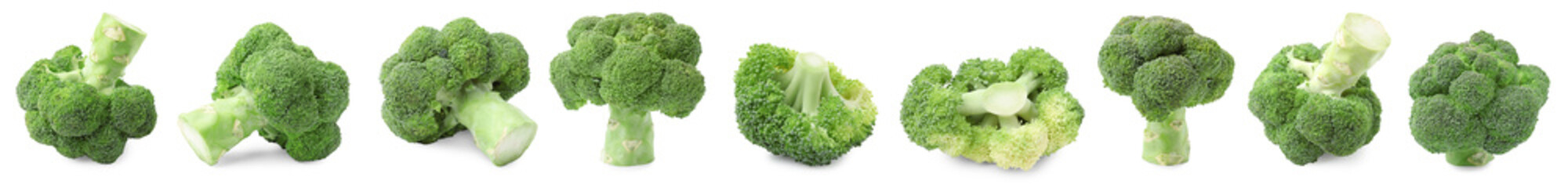 Fresh green broccoli isolated on white, set