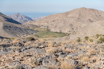 Green Valley in the desert mountains of Musandam, Oman