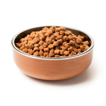 Dog Food Bowl Isolated On White