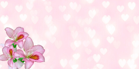 Fototapeta na wymiar Happy valentines day banner background. valentines day greeting card with heart 