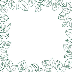 Fototapeta na wymiar Tea green leaves plant banner frame, hand drawn line art vector illustration for surface design, card or wedding invite
