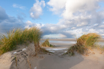 Fototapeta na wymiar View on vast beach and sea between two dunes grown with Marram grass