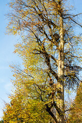 Rize is a Black Sea city famous for its plateaus. Rize, Ayder,