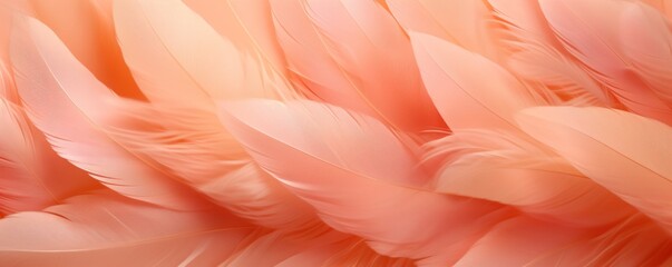 Peach Fuzz colored feathers background, trendy color of the year 2024 - obrazy, fototapety, plakaty