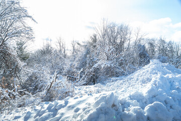 Morningside Park in snowy winter, picturesque wonderland, for visitors to enjoy. Trees blanketed in a layer of pristine white snow. Park used for healthy activities, snowshoeing, skiing.