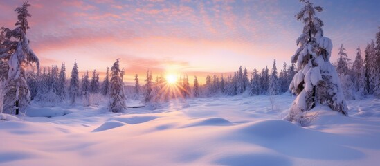 Winter sunset in Pallas Yllastunturi National Park Lapland northern Finland. Copyspace image. Header for website template - obrazy, fototapety, plakaty