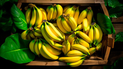 close up of a tray full of delicious freshly picked farm fresh bananas, organic product. view from above. AI generate - 690770302