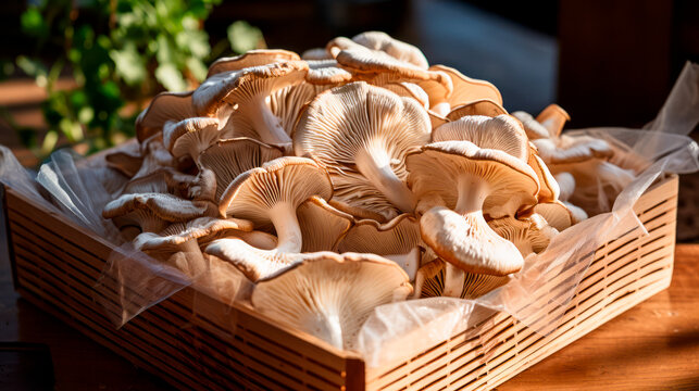 close up of a tray full of delicious freshly picked farm fresh boleto mushrooms, organic product. view from above. AI generate