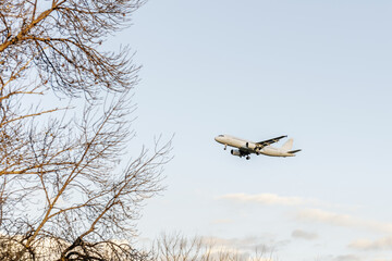 A passenger plane about to land with the landing gear deployed near a wooded area