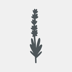 lavender botanic elements vector illustration cut - obrazy, fototapety, plakaty